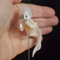 Load image into Gallery viewer, Floating Victorian Ghost Child #1 OOAK Doll Haunted Miniature by Pat Benedict