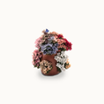 Load image into Gallery viewer, Colorful Flowering Hydrangea Plant in Terracotta Planter with Butterfly Realistic