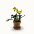 Load image into Gallery viewer, Potted Yellow Orchid Hand Painted Flowering Houseplant Vintage Artisan