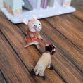 Load image into Gallery viewer, Aleah Klay Mouse with Lion Pull Toy OOAK Miniature c.2012