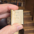 Load image into Gallery viewer, Miniature book held between fingers with a blurred bookshelf background
