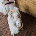 Load image into Gallery viewer, Signed Wicker Baby Pram with Porcelain Infant Doll and Cat by Bridget McCarty