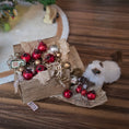 Load image into Gallery viewer, Small box with red and gold ornaments and a small white dog with a brown patch on a wooden surface.