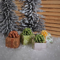 Load image into Gallery viewer, Decorative gift boxes with ribbons in front of a wooden wall and frosted trees.