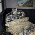Load image into Gallery viewer, RARE Pamela Goldman Shell-Encrusted Bed with Woven Raffia Coverlet