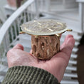 Load image into Gallery viewer, Ship’s Wheel Table with Galapagos Cholla Wood & Waved Resin