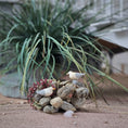 Load image into Gallery viewer, Coastal Rocky Shoreline Vignette with Seagulls Diorama