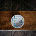 Load image into Gallery viewer, Susan Van Tubbergen School of Swimming Fish Shallow Bowl