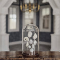 Load image into Gallery viewer, Wendy Smale Coastal Shell Specimen Cloche Display Beautiful