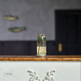 Load image into Gallery viewer, Miniature Preserved Botanical Specimen Under Glass Dome