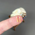 Load image into Gallery viewer, David Edwards Miniature Lace Bobbins Pair Hand-Carved Boxwood 1988