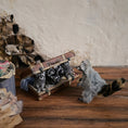 Load image into Gallery viewer, OOAK Miniature Raccoon Family Suitcase Vignette Artisan Made