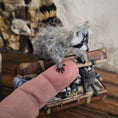 Load image into Gallery viewer, OOAK Miniature Raccoon Family Suitcase Vignette Artisan Made
