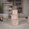Load image into Gallery viewer, Miniature French Victorian Decorative Boxes Set Janny Warnaar 1:12