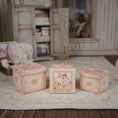 Load image into Gallery viewer, Miniature French Victorian Decorative Boxes Set Janny Warnaar 1:12