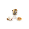 Load image into Gallery viewer, Miniature Coastal Seashell Curio Collection Display Set