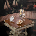 Load image into Gallery viewer, Miniature Coastal Seashell Curio Collection Display Set