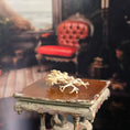 Load image into Gallery viewer, Miniature Natural Lace Coral Specimen with Micro Seashell Display