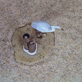 Load image into Gallery viewer, Miniature Coastal Heron Shoreline Vignette with Dock Pilings OOAK