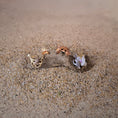 Load image into Gallery viewer, Miniature Coastal Driftwood Seaside Vignette with Crab & Seashells #1