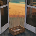 Load image into Gallery viewer, OOAK Miniature Beachcomber Shell Crate with Natural Micro Seashells