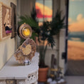 Load image into Gallery viewer, Miniature Fossilized Ammonite Specimen on Sterling Silver Stand