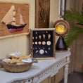 Load image into Gallery viewer, Miniature Mounted Micro Seashell Specimen Shadowbox #1