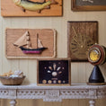 Load image into Gallery viewer, Miniature Mounted Micro Seashell Specimen Shadowbox #3