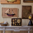 Load image into Gallery viewer, Miniature Mounted Micro Seashell Specimen Shadowbox #4