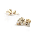 Load image into Gallery viewer, Miniature Curated Coral & Seashell Specimen Collection Set