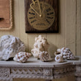 Load image into Gallery viewer, Miniature Curated Coral & Seashell Specimen Collection Set