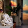 Load image into Gallery viewer, Miniature Curated Coral & Seashell Specimen Collection Set
