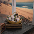 Load image into Gallery viewer, Pretty Coastal Seashell Basket Miniature Arrangement