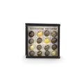 Load image into Gallery viewer, Littorina Variants Micro Sea Shell Specimen Display Miniature OOAK