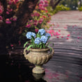 Load image into Gallery viewer, Cea's Garden Potted Blue Hyacinths in Weathered Patina Garden Urn