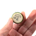 Load image into Gallery viewer, Miniature Sandra Manring Lily of the Nile Flowers in John Alameda Planter