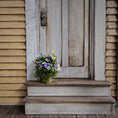 Load image into Gallery viewer, Autumn Colorful Clay Pansies in Pot with Trailing Moss Miniature Dollhouse