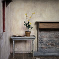 Load image into Gallery viewer, Yellow Oncidium Orchid in Terracotta Pot Miniature Dollhouse