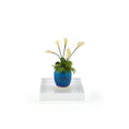 Load image into Gallery viewer, White Calla Lilies in Signed Artisan Blue Pot Miniature Dollhouse