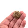 Load image into Gallery viewer, Zara Thompson-Ribeaud Round Handwoven French Lidded Utility Basket