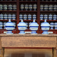Load image into Gallery viewer, Mini Mundus Blue & White Porcelain Apothecary Jars Set of 4 Style A Group 1