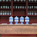 Load image into Gallery viewer, Mini Mundus Blue & White Porcelain Apothecary Jars Set of 4 Style D Group 6
