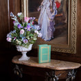 Load image into Gallery viewer, Barbara Raheb IGMA Artist "Main Street" Micro Miniature Book 1981