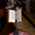 Load image into Gallery viewer, Barbara Raheb "David Copperfield" Readable Micro Miniature Book
