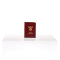 Load image into Gallery viewer, Barbara Raheb "A Dog of Flanders" Readable Micro Miniature Book