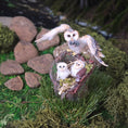 Load image into Gallery viewer, Tigrorso Barn Owl Family Tree Stump Vignette OOAK 1:12 Scale Dollhouse Miniature