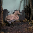 Load image into Gallery viewer, Rare Realistic Dodo Bird Artisan Dollhouse Miniature in Wool, Feathers & Clay