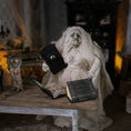 Load image into Gallery viewer, Lee Ann Borgia Set of Three Gothic Miniature Books 1:12 Scale