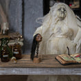 Load image into Gallery viewer, Signed Shrunken Head with Real Hair on Wooden Stand Curiosity Display