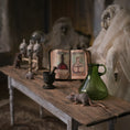 Load image into Gallery viewer, 3-Piece Witch’s Apothecary Book, Glass Bottle & Mortar Set